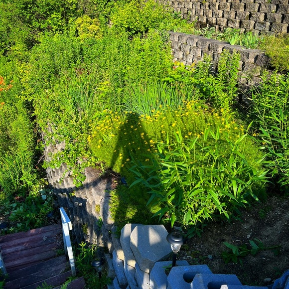 Meet your Posher, Carrie - Picture 16 of 16